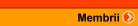 Motor + pagina webpage cautare si engine plus searchengine optimization
